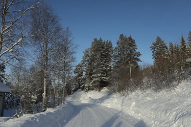 Beautiful view of road and trees covered with snow outdoors. Winter landscape