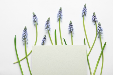 Photo of Beautiful spring muscari flowers and card on light background, flat lay. Space for text