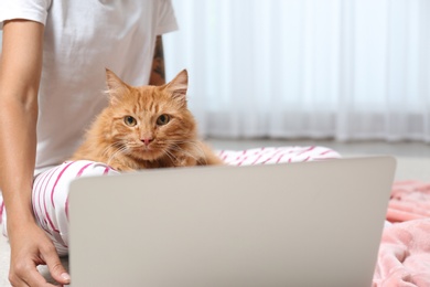 Photo of Woman with cute red cat and laptop at home, closeup view. Space for text