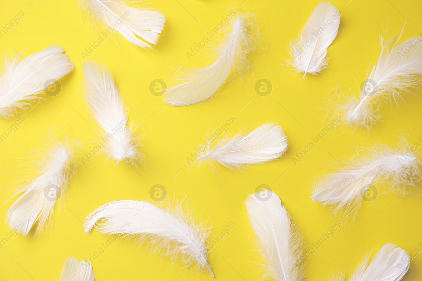 Photo of Many fluffy bird feathers on yellow background, flat lay