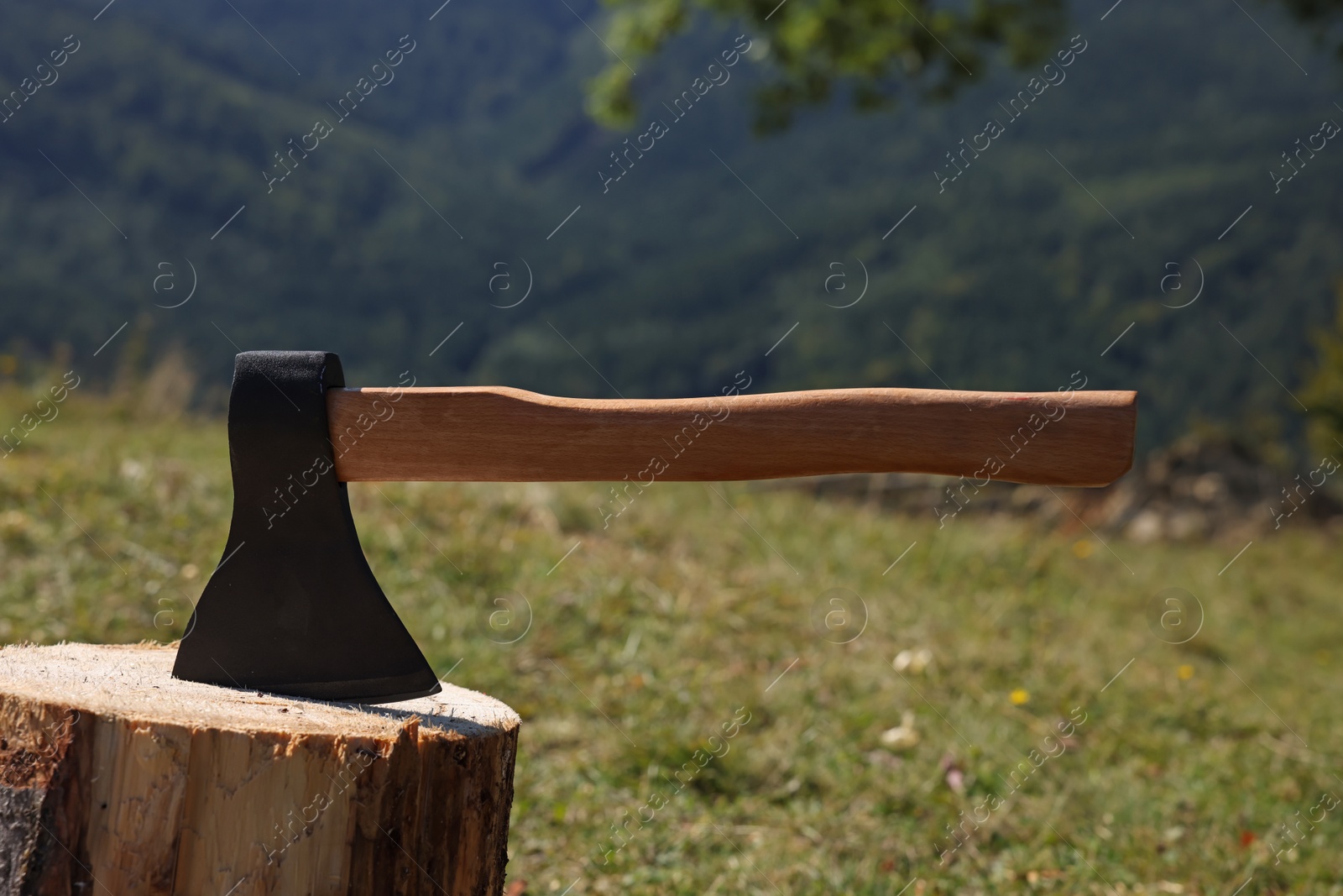 Photo of Tree stump with axe on hill. Professional tool