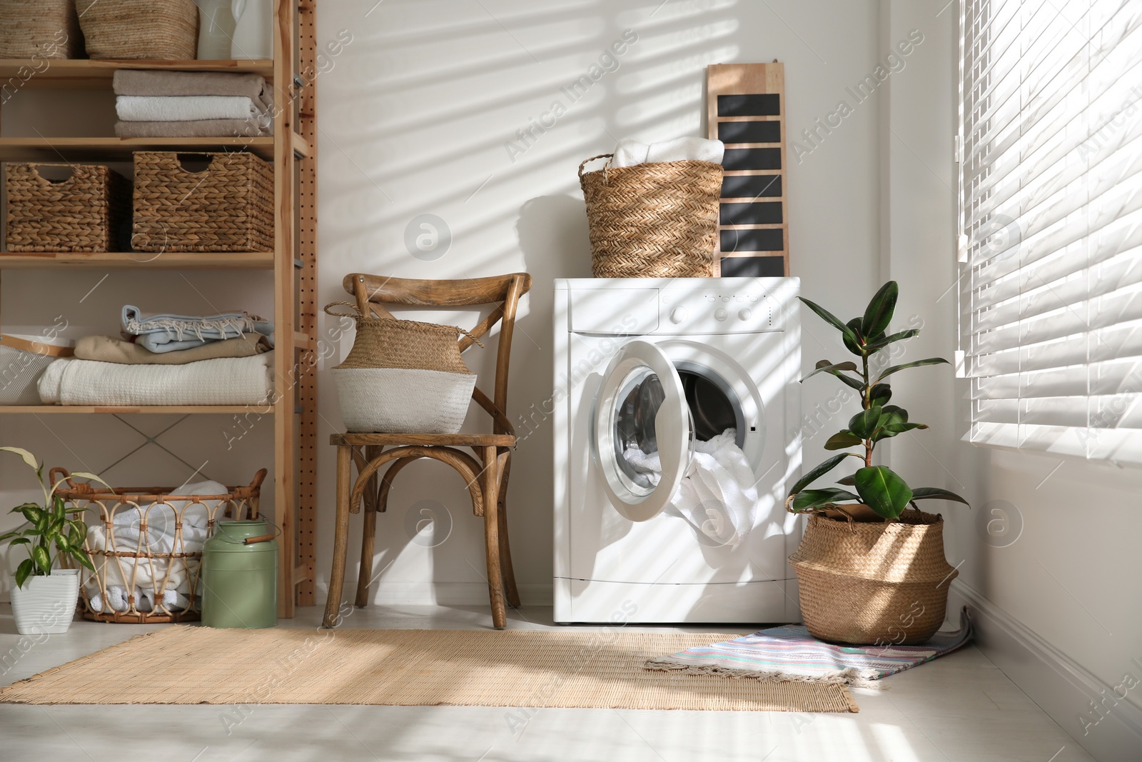 Photo of Modern washing machine and plants in laundry room interior