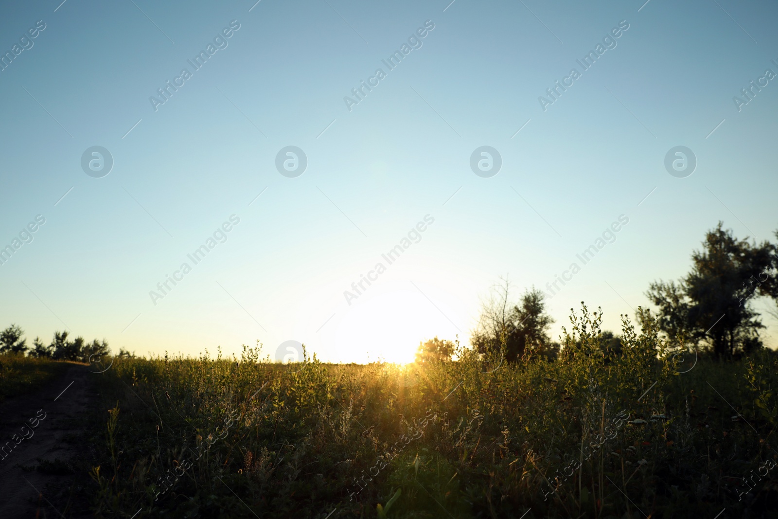 Photo of Beautiful field at sunrise. Early morning landscape