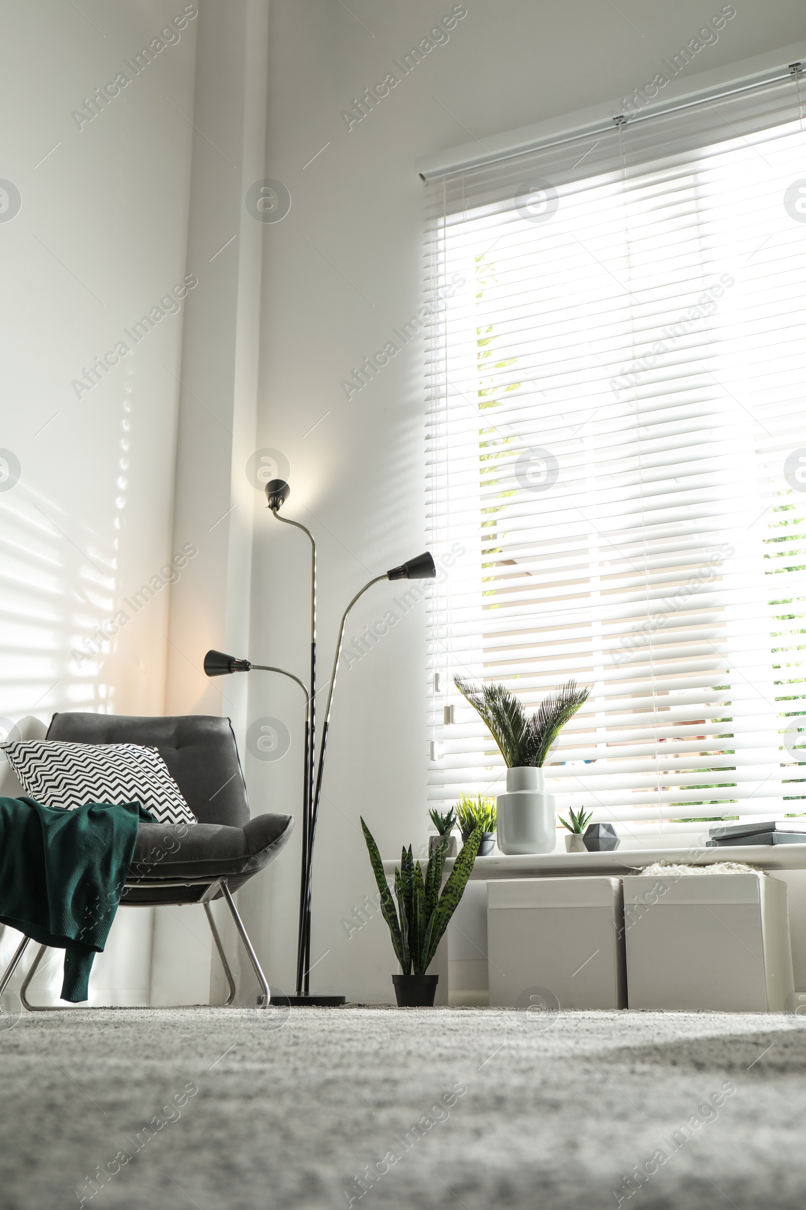 Photo of Beautiful tropical plants with lush leaves in stylish living room interior