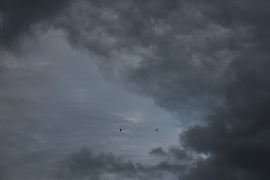 Picturesque view of birds in sky with heavy rainy clouds