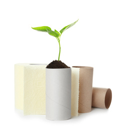 Image of Full and empty toilet paper rolls and plant on white background