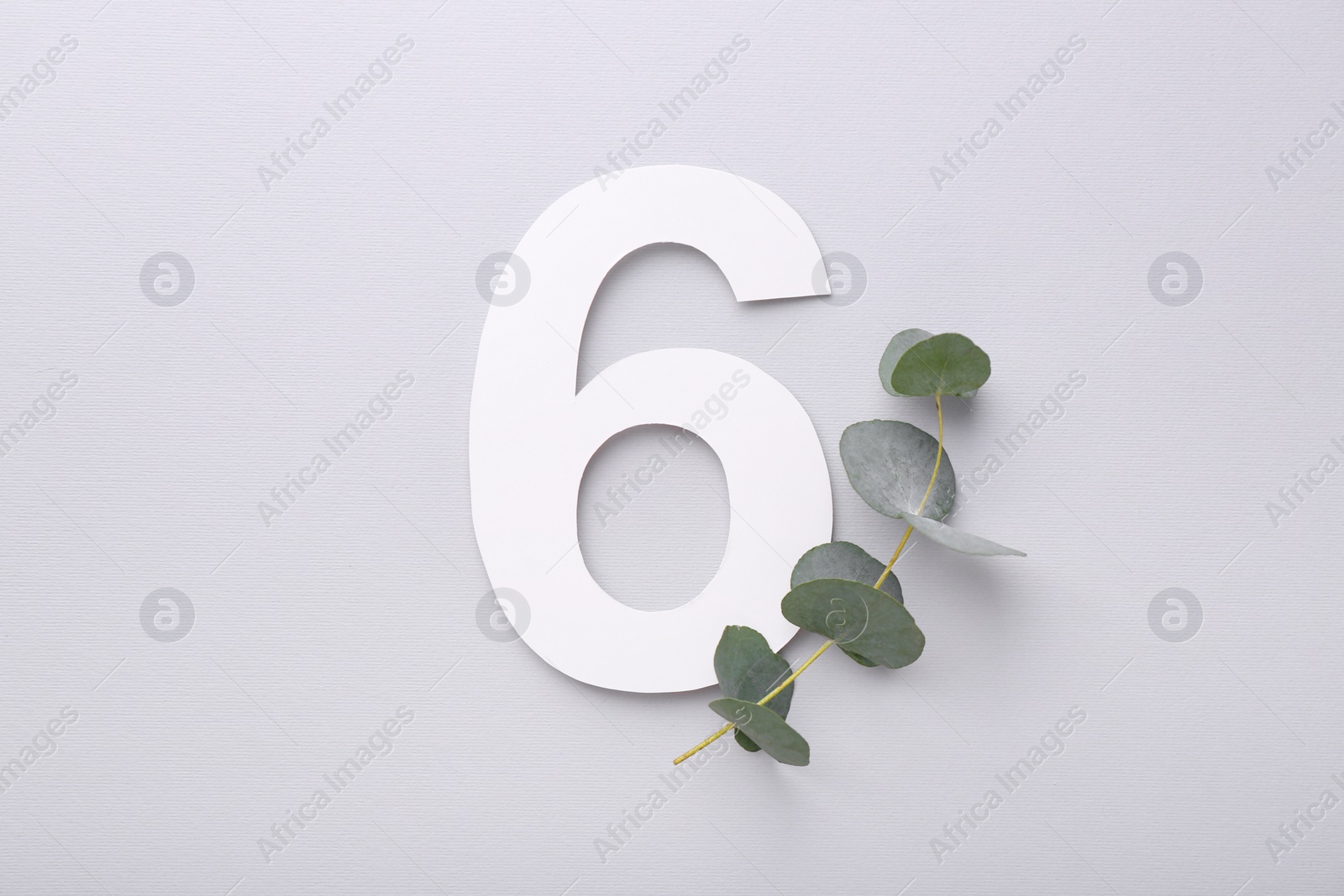 Photo of Paper number 6 and eucalyptus branch on light grey background, top view