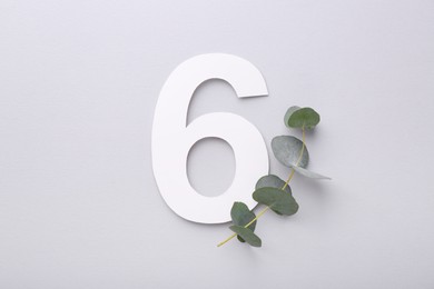 Paper number 6 and eucalyptus branch on light grey background, top view