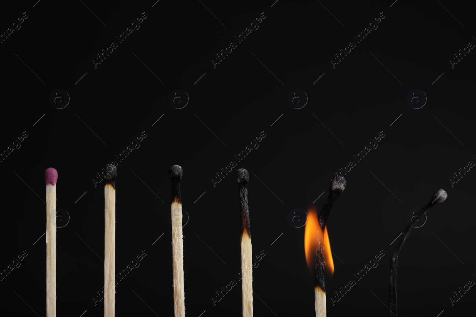 Photo of Row of burnt matches and whole one on black background