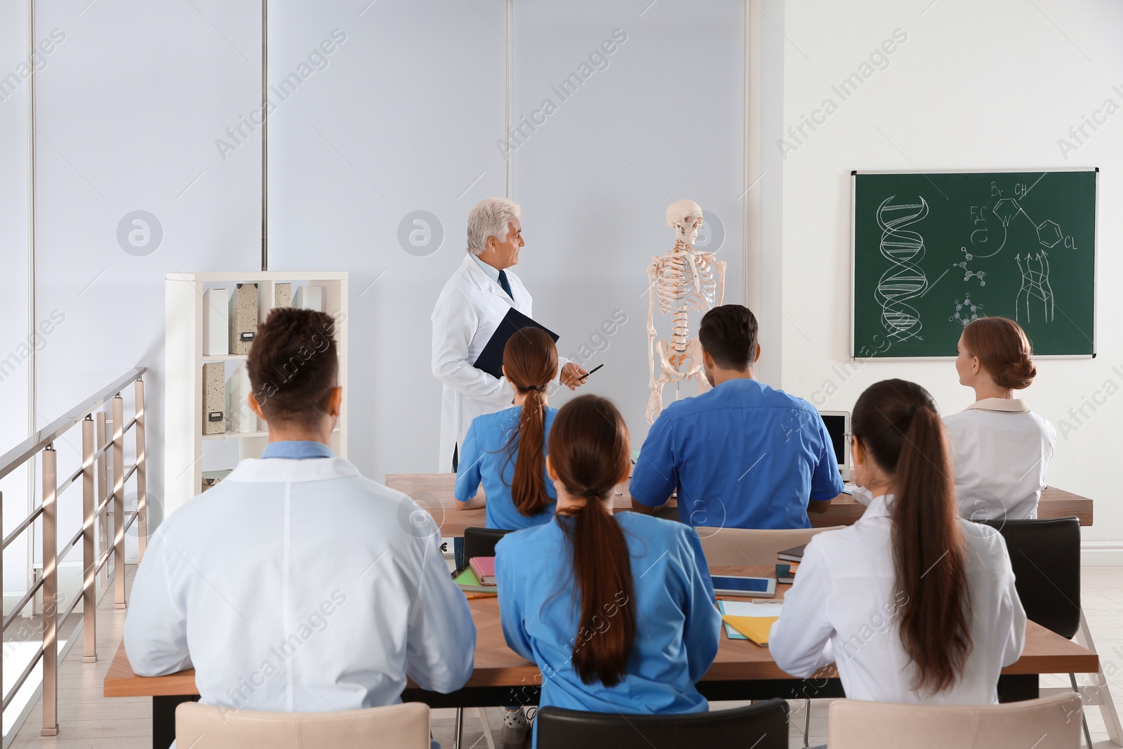 Photo of Medical students and professor studying human skeleton anatomy in classroom