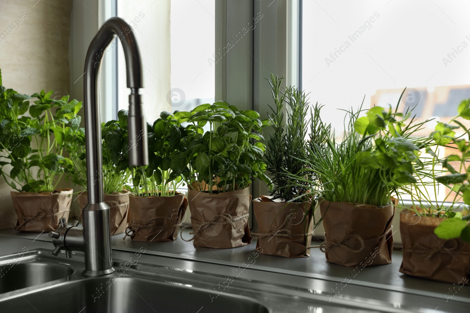 Photo of Different aromatic potted herbs on window sill near kitchen sink