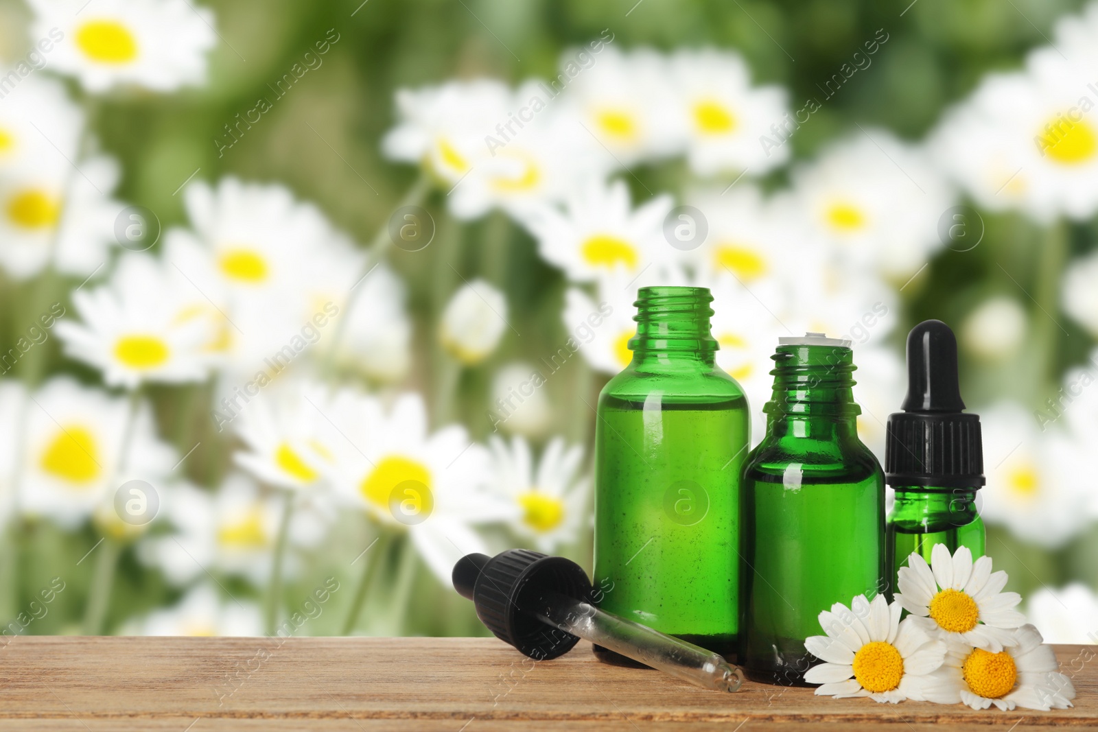 Image of Bottles of essential oil and chamomile flowers on wooden table against blurred background. Space for text