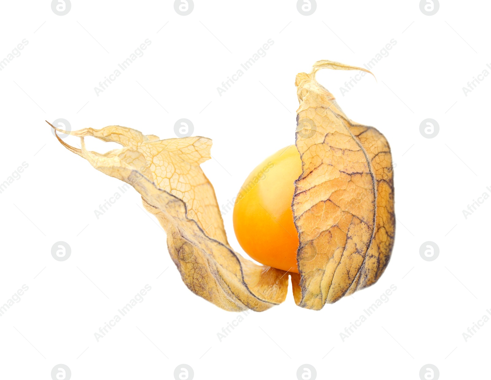 Photo of Ripe physalis fruit with calyx isolated on white