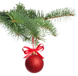 Photo of Christmas tree branch with ball on white background