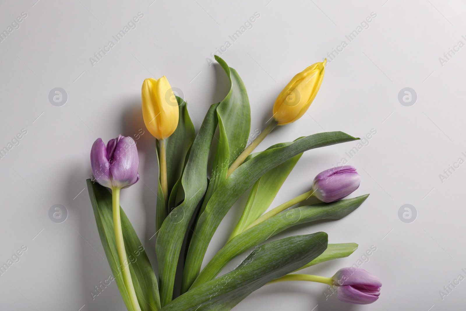 Photo of Beautiful tulips on light grey background, flat lay