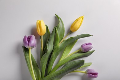 Beautiful tulips on light grey background, flat lay