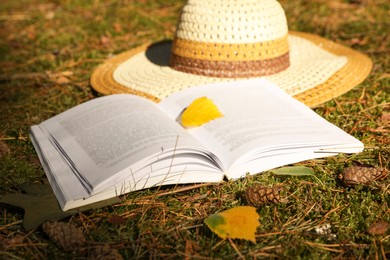 Photo of Open book, hat and leaves on grass outdoors