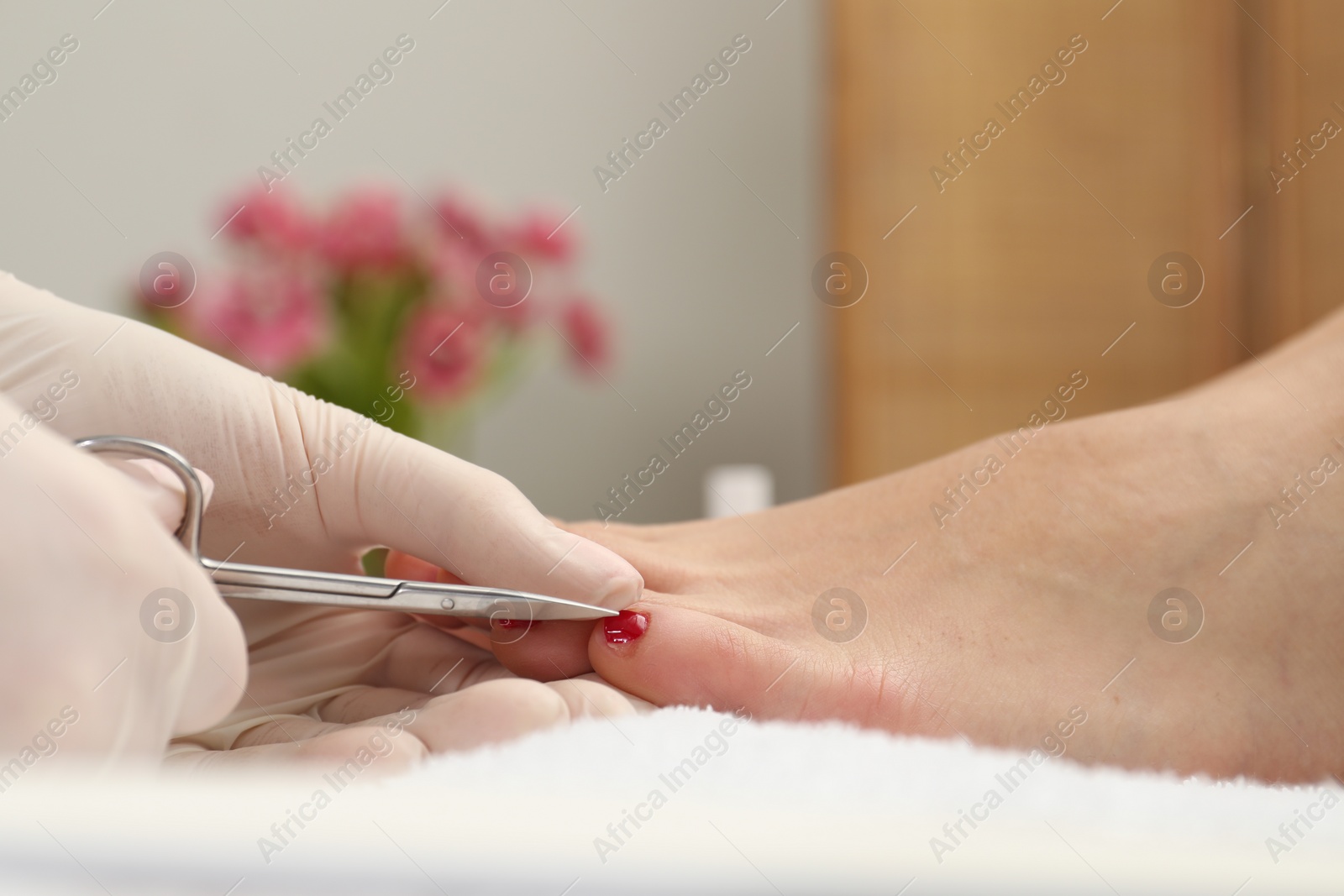 Photo of Pedicurist cutting client`s toenails with scissors in beauty salon, closeup