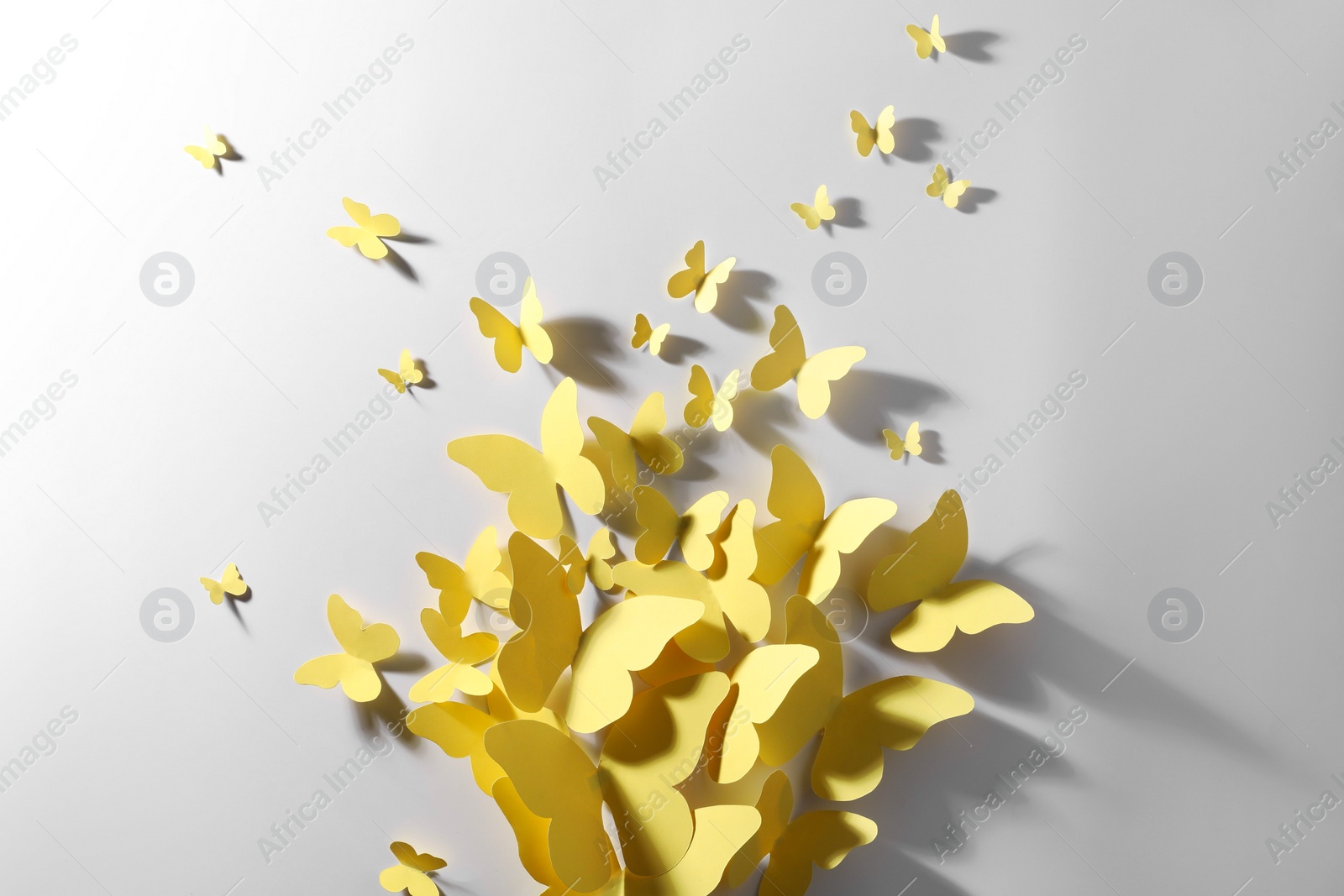 Photo of Yellow paper butterflies on white background, top view