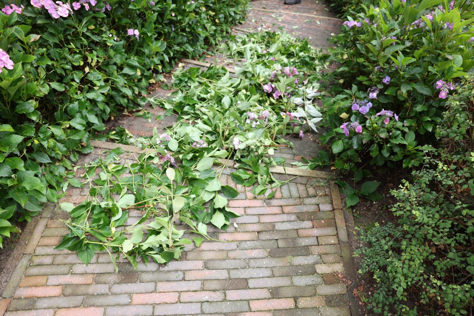 Photo of Paved stairs with branches of cut plants in garden. Landscape design