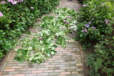 Photo of Paved stairs with branches of cut plants in garden. Landscape design