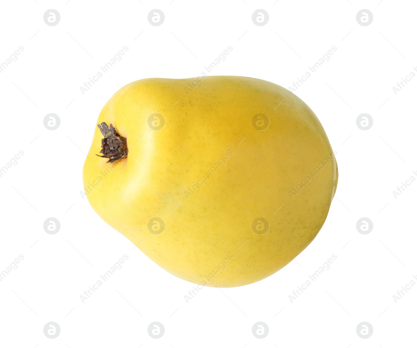 Photo of Delicious fresh ripe quince isolated on white