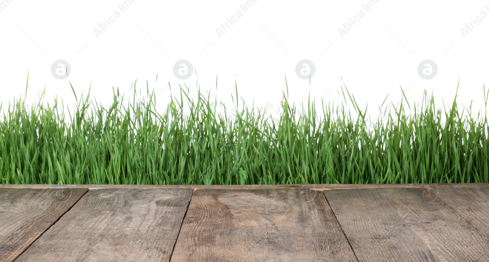 Photo of Wooden deck and green grass isolated on white