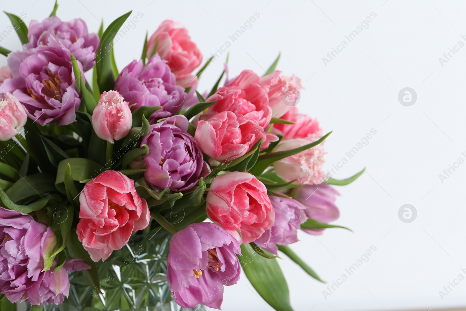 Photo of Beautiful bouquet of colorful tulip flowers on white background, closeup. Space for text
