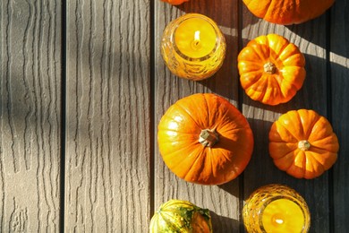 Many whole ripe pumpkins and candles on wooden table, flat lay. Space for text