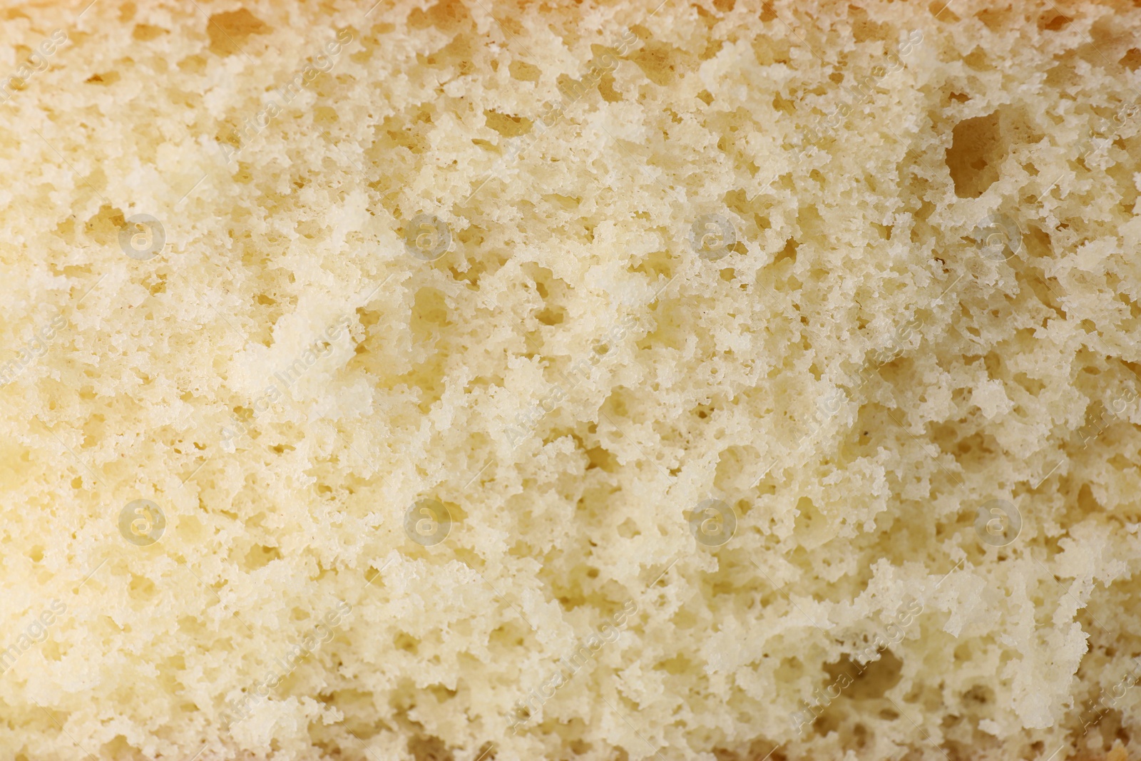 Photo of Tasty sponge cake as background, closeup view