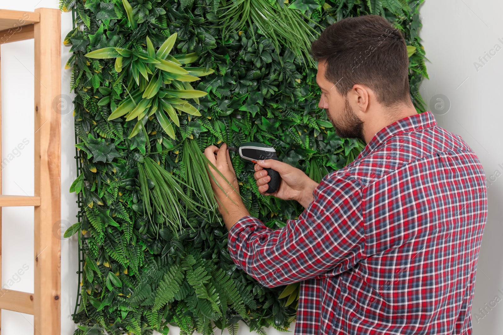 Photo of Man with screwdriver installing green artificial plant panel on white wall in room