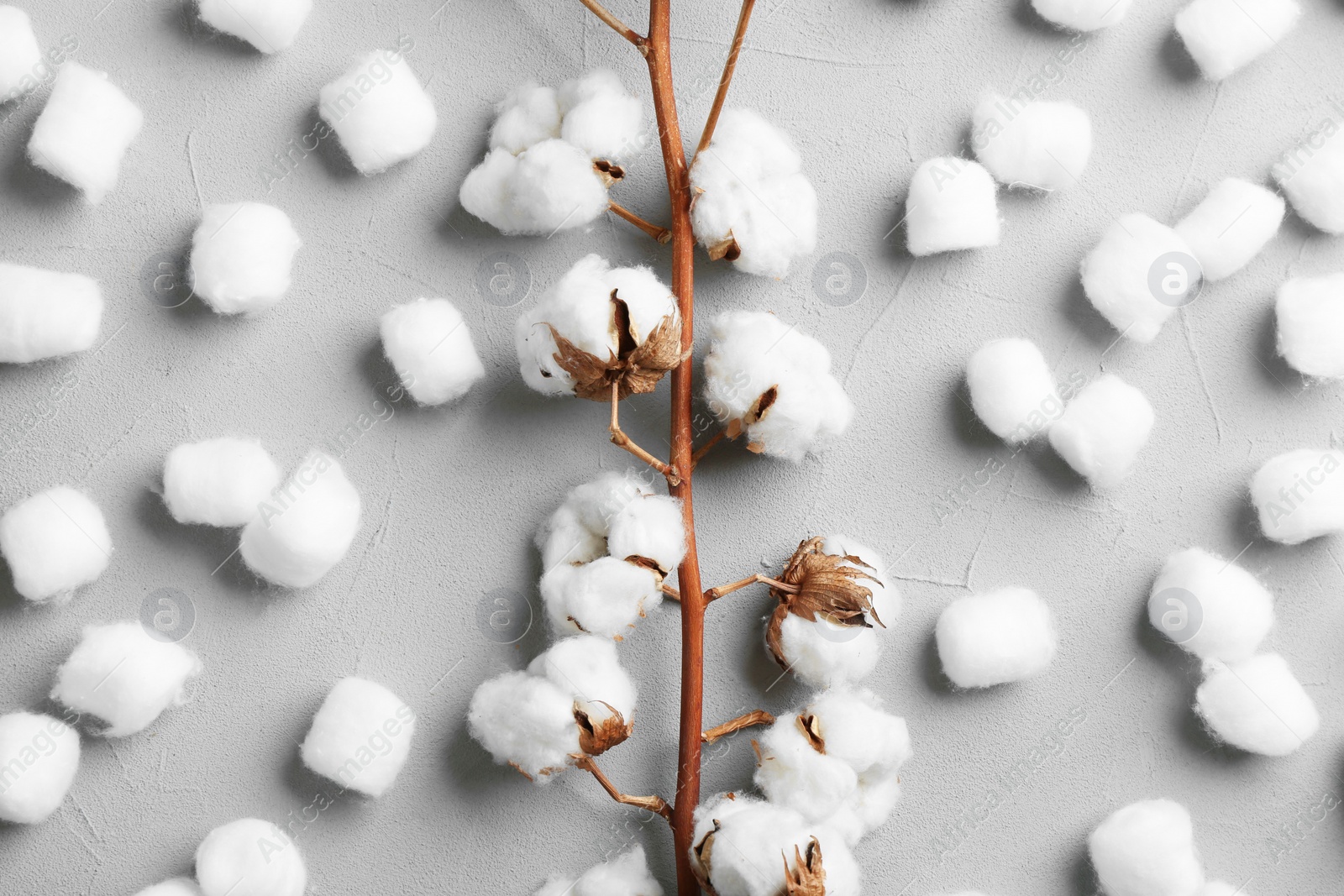 Photo of Flat lay composition with cotton balls and flowers on grey stone background