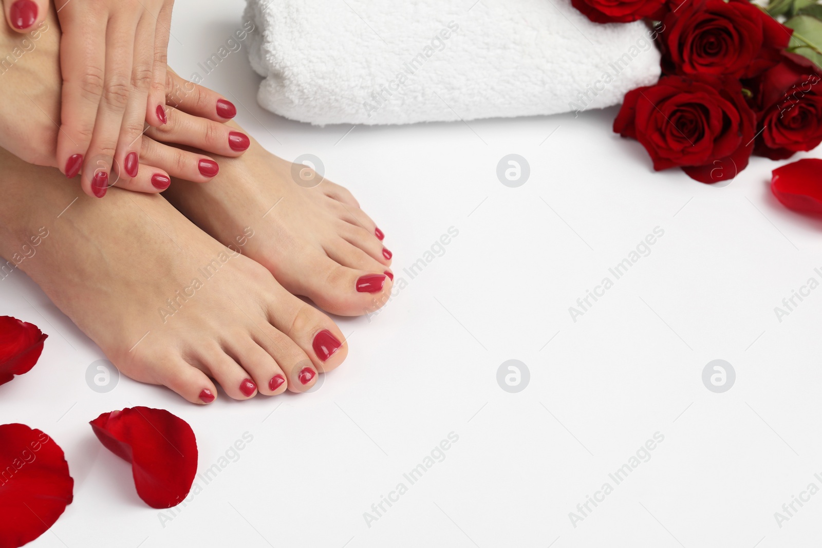 Photo of Woman with stylish red toenails after pedicure procedure and rose flowers on white background, closeup. Space for text