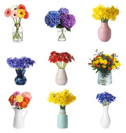 Collage with various beautiful flowers in vases on white background