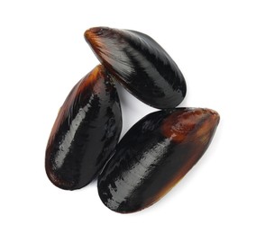 Photo of Raw mussels in shells on white background, top view