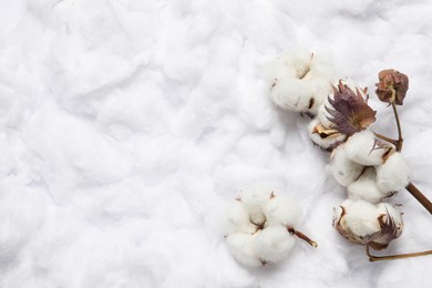 Photo of Dry cotton branch with flowers on white fluffy background, flat lay. Space for text