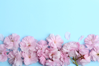 Beautiful sakura blossom on light blue background, space for text. Japanese cherry
