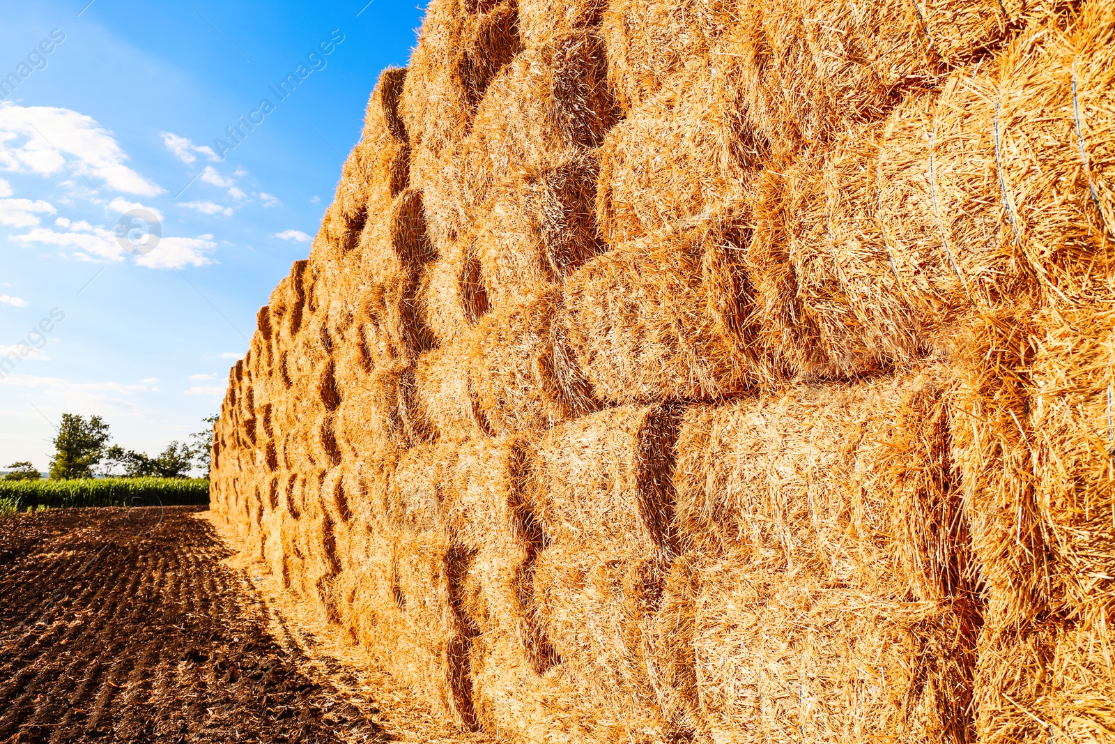 Photo of Many hay bales outdoors on sunny day