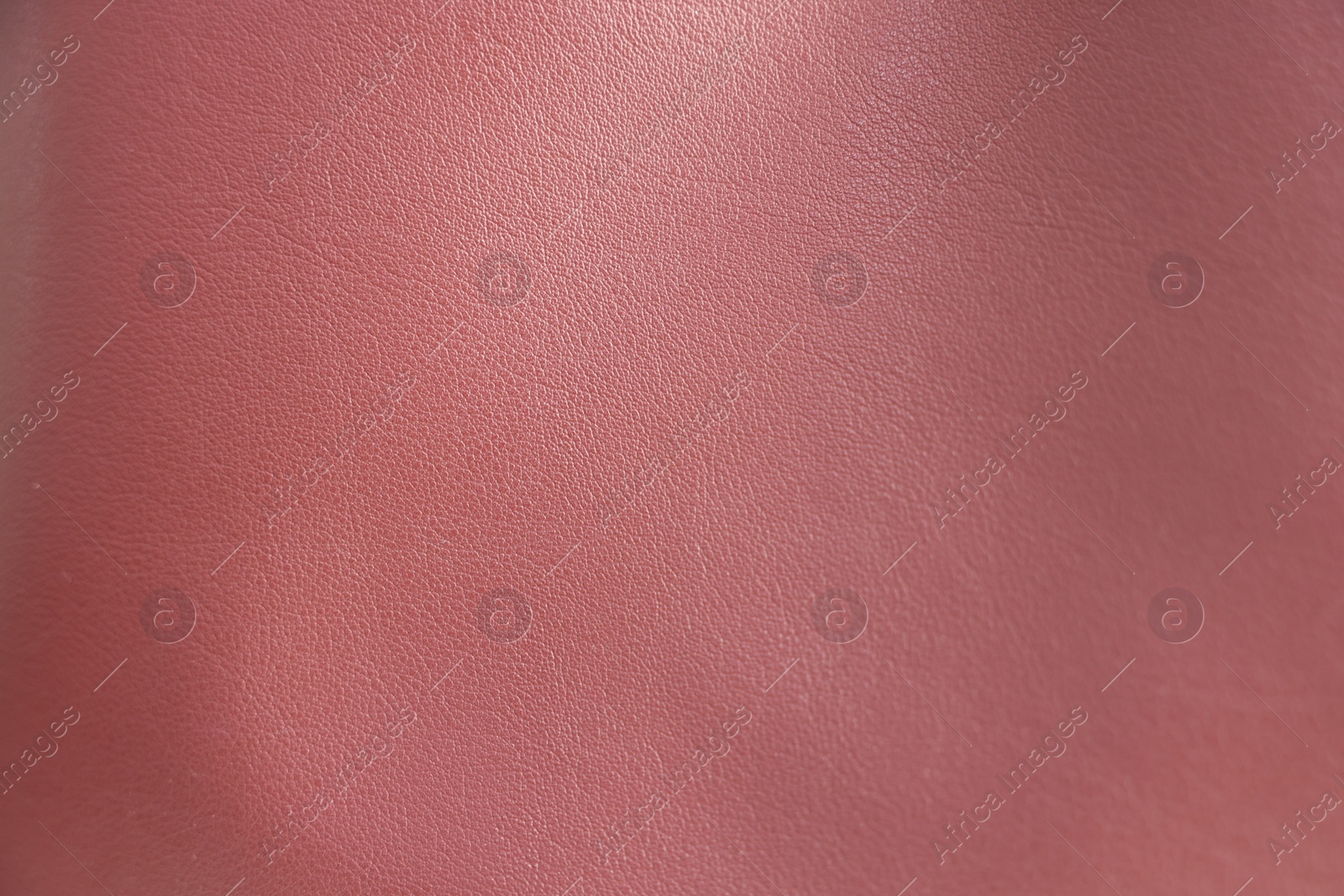 Photo of Texture of leather as background, closeup view