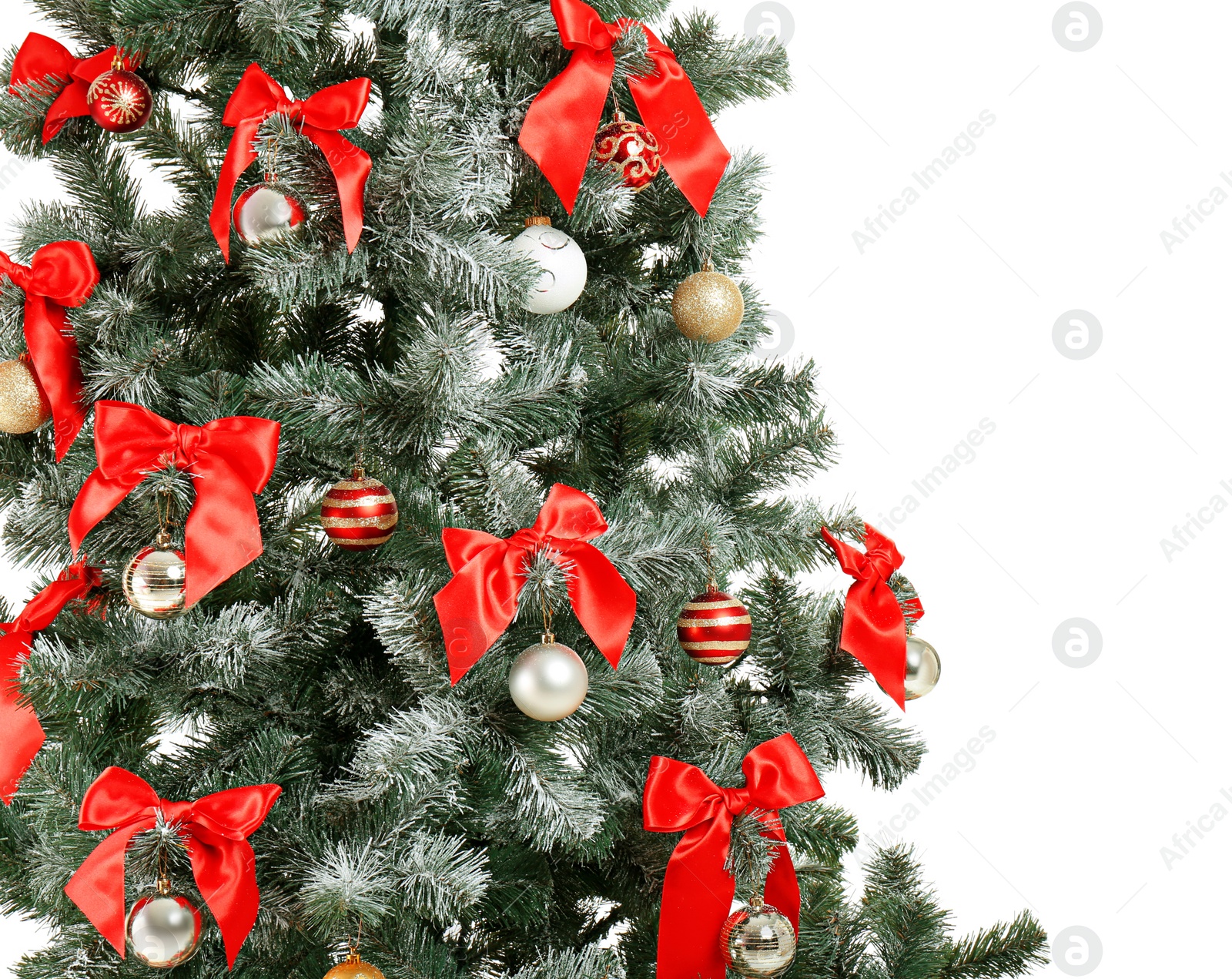 Photo of Beautiful Christmas tree with decor on white background, closeup. Celebration time