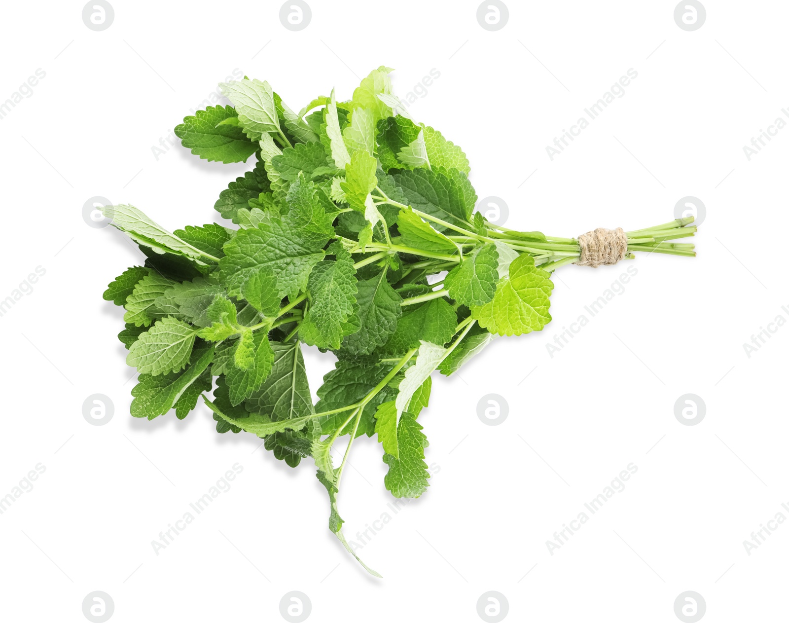 Photo of Bunch of fresh green lemon balm isolated on white, top view