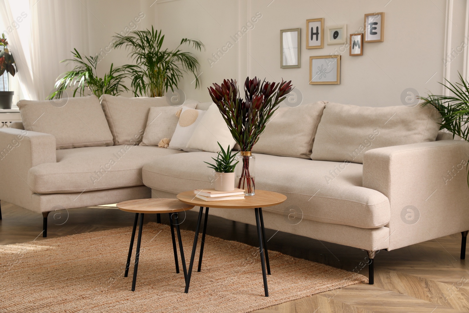 Photo of Stylish living room with comfortable sofa and beautiful houseplants