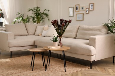 Photo of Stylish living room with comfortable sofa and beautiful houseplants