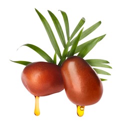 Oil dripping from palm fruits on white background