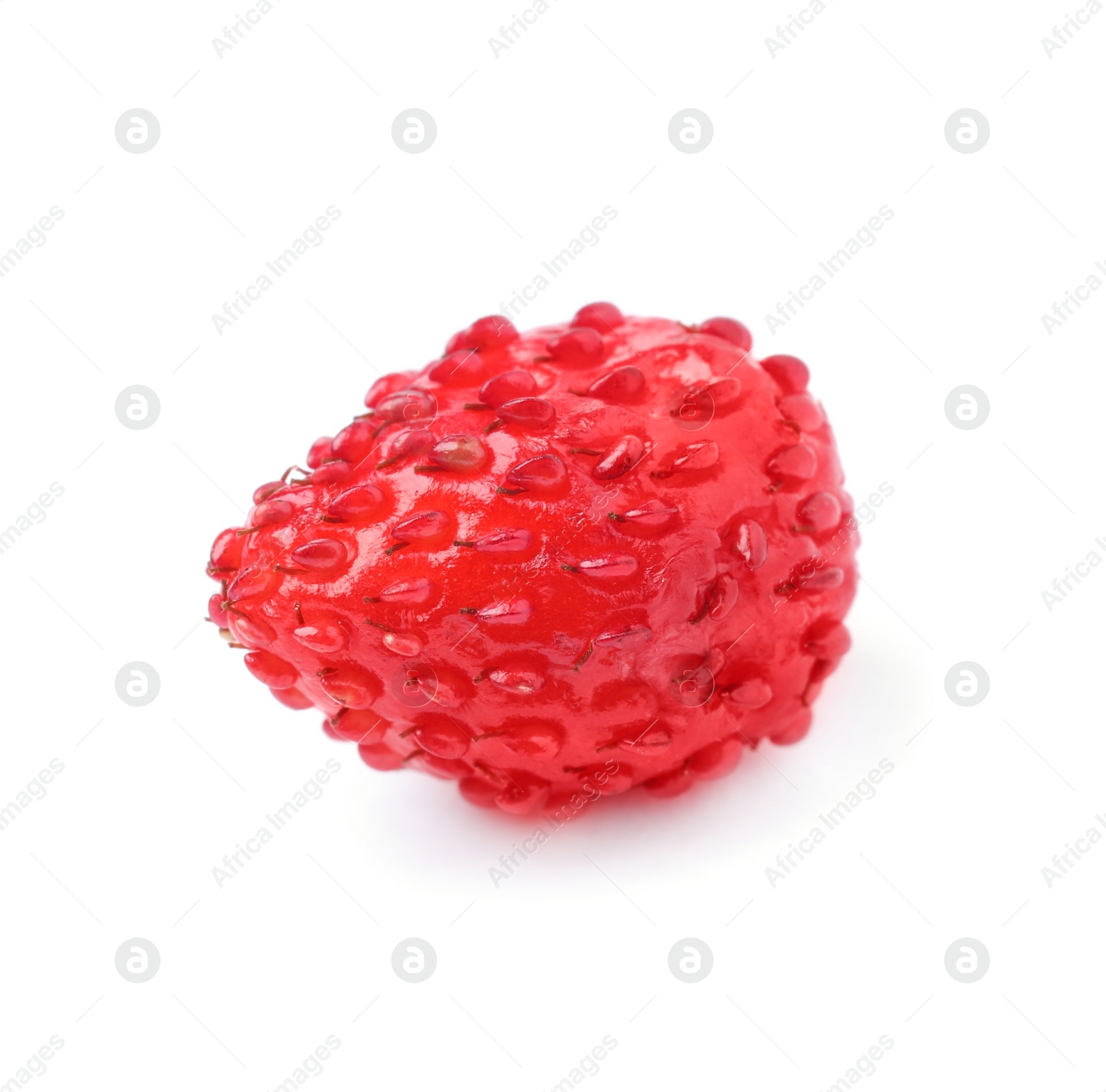 Photo of One ripe wild strawberry isolated on white