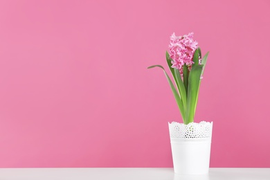 Photo of Beautiful hyacinth in pot on table against color background, space for text. Spring flower