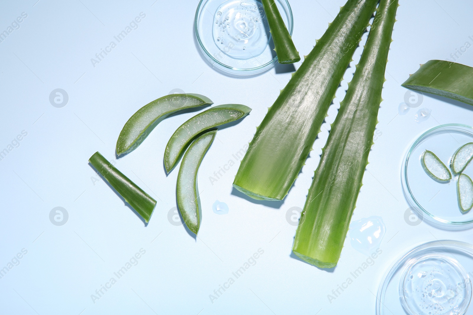 Photo of Cut aloe vera and cosmetic gel on light blue background, flat lay. Space for text