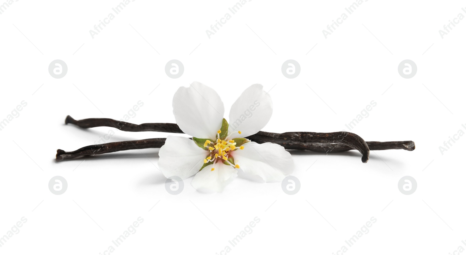 Photo of Aromatic vanilla sticks and flower on white background