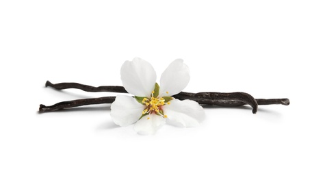 Photo of Aromatic vanilla sticks and flower on white background