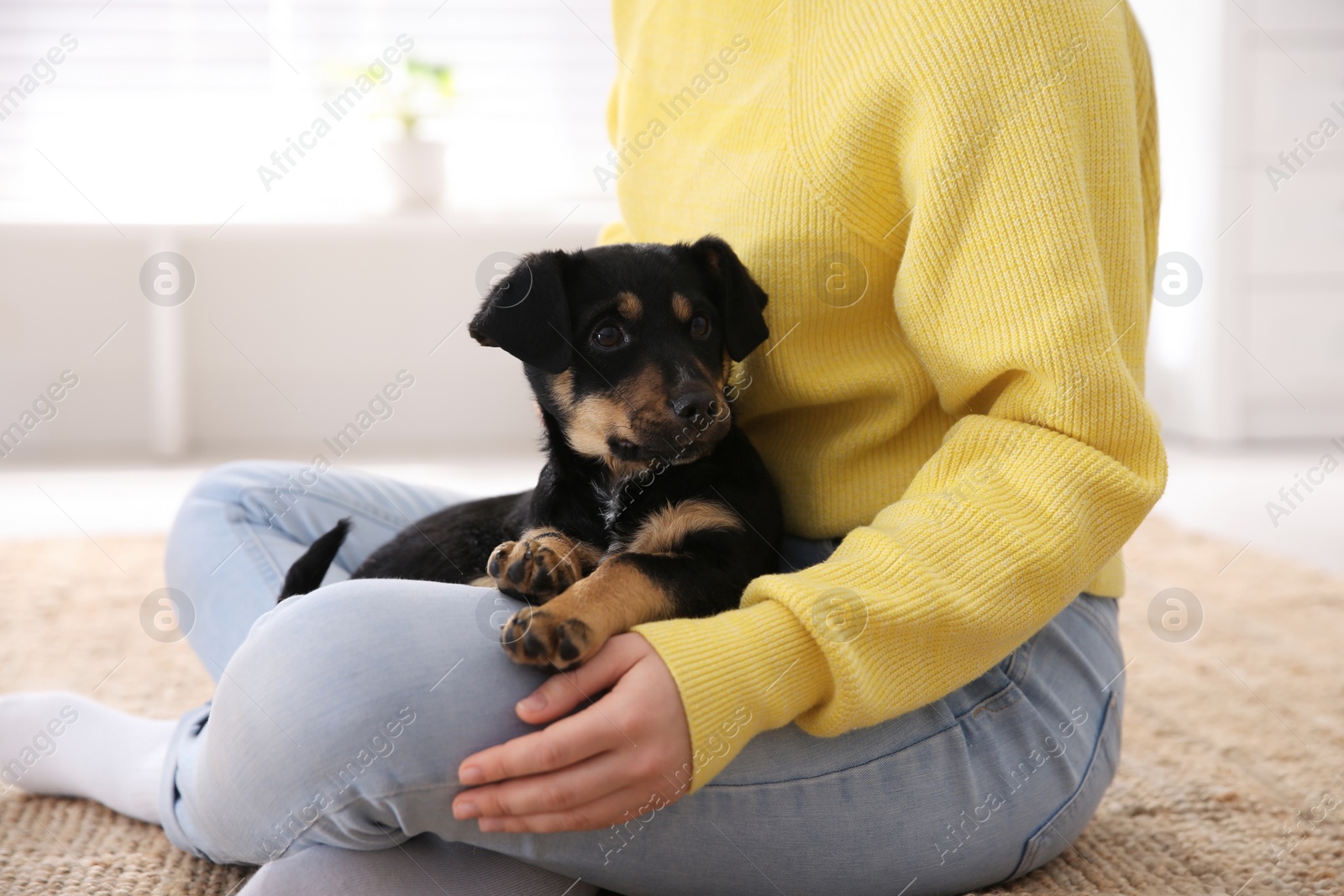 Photo of Woman with cute puppy indoors, closeup. Lovely pet